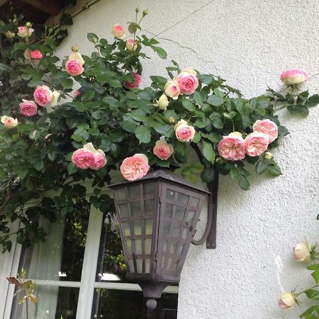 Le Petit Val Rose Villa Villennes-sur-Seine Buitenkant foto